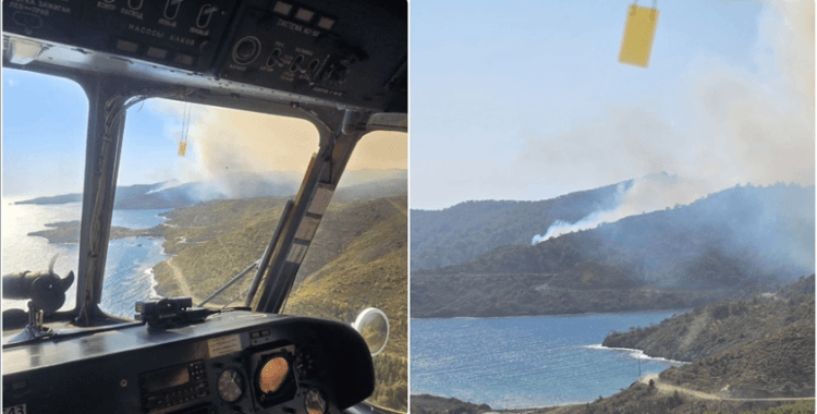 Muğla'nın Marmaris ilçesinde orman yangını çıktı