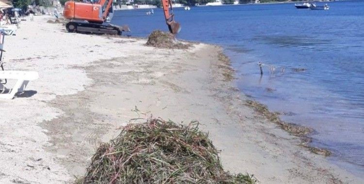 Balıkesir Valiliği deniz çayırlarının sökülmesi olayı ile ilgili soruşturma başlattı
