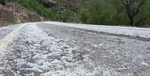 Erzincan’da dolu yağışı etkili oldu

