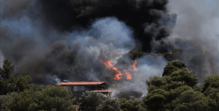 Yunanistan'da son 24 saatte çıkan 52 orman yangınından 44'ü kontrol altına alındı