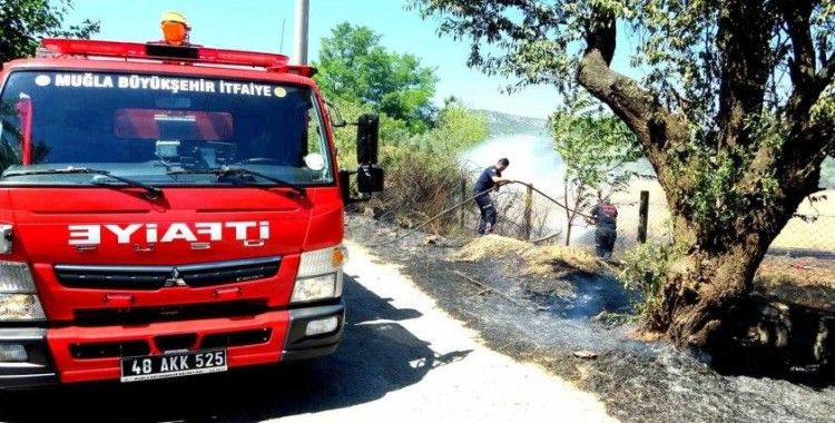 Sigara izmariti yangın çıkardı
