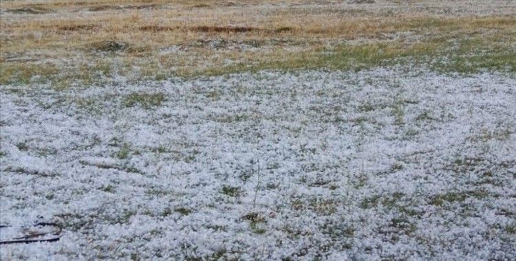 Ağrı'da dolu tarım arazilerine zarar verdi