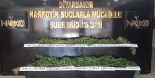 Diyarbakır'da dron destekli uyuşturucu operasyonu: 800 kilo esrar türevi ve 3 bin 276 kök kenevir ele geçirildi