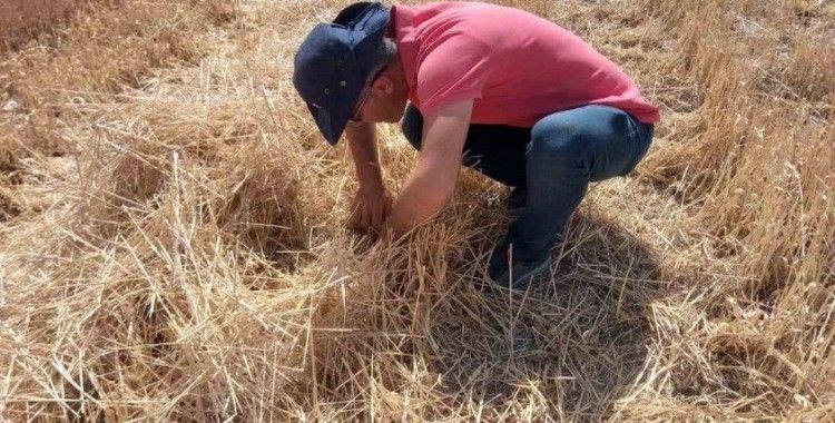 Niğde’de çiftçilere uyarı
