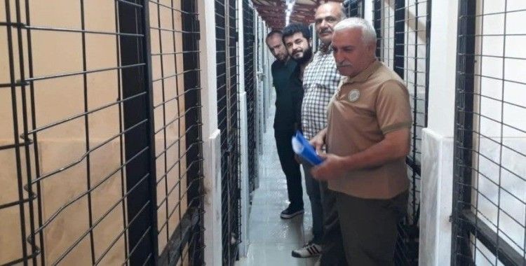 Elazığ’da Hayvan Bakımevinde denetim
