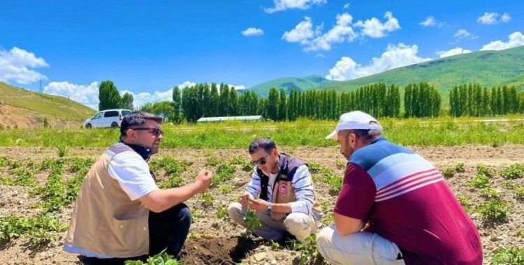 Bayburt’ta patates ekili alanlarda hastalık ve zararlı kontrolleri yapıldı
