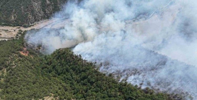 Karabük’te yıldırım orman yangınına neden oldu
