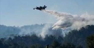 İzmir'in Bornova ilçesinde çıkan orman yangını kontrol altına alındı