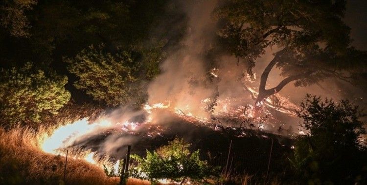 ABD'nin California eyaletindeki orman yangını nedeniyle 26 binden fazla kişi tahliye edildi