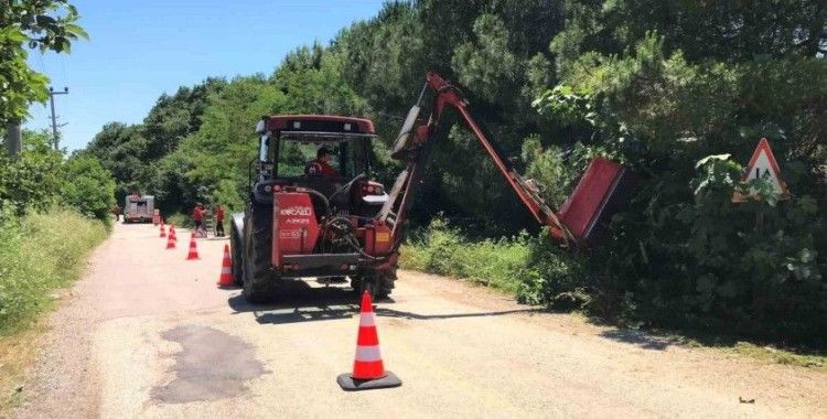 Yol kenarındaki otlar ve çalılar temizleniyor
