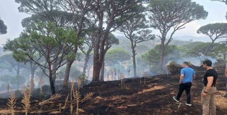 Kaymakam Gökçe, yangın ve taşkın bölgelerinde incelemelerde bulundu
