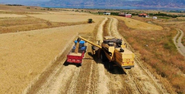 Elazığ’da 900 bin dekar alanda hasat yapılması bekleniyor
