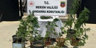 Mersin’de uyuşturucu operasyonu: 2 kişi yakalandı
