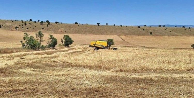 Verim yüz güldürdü, fiyat düşündürdü
