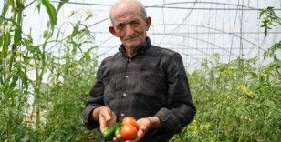 "Ata tohumu memleket meselesi" diyen 74 yaşındaki çiftçi ömrünü organik tarıma adadı

