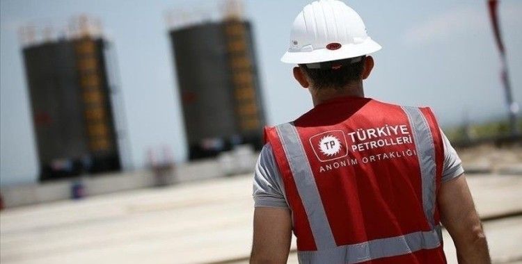 TPAO'nun 'Derin Öğrenme Süreçleri ile Fosil Tanıma Yöntemi' tescillendi