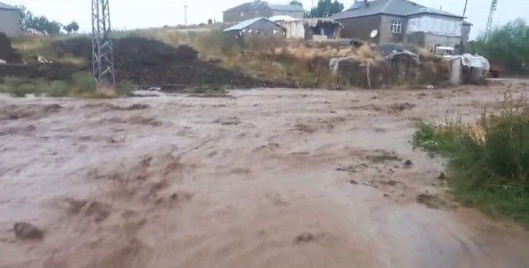 Ağrı'da sel tarım arazileri ve yollara zarar verdi