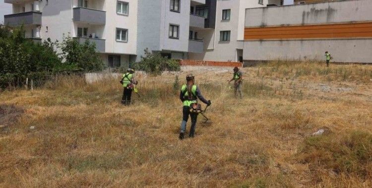 Çayırova’da yabani otlar temizleniyor
