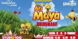 MalatyaPark çocukları yaz tatilinde unutmadı
