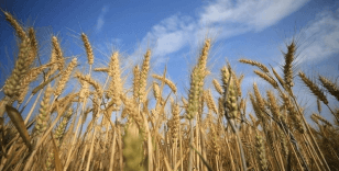 Rusya tahıl girişimini canlandırma dahil herhangi bir anlaşma ihtimalini dışlamıyor