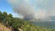Çanakkale'de tarım arazisinde çıkıp ormanlık alana sıçrayan yangına müdahale ediliyor