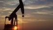 Kuveyt, Feyleke Adası yakınında büyük miktarda petrol ve gaz keşfedildiğini açıkladı