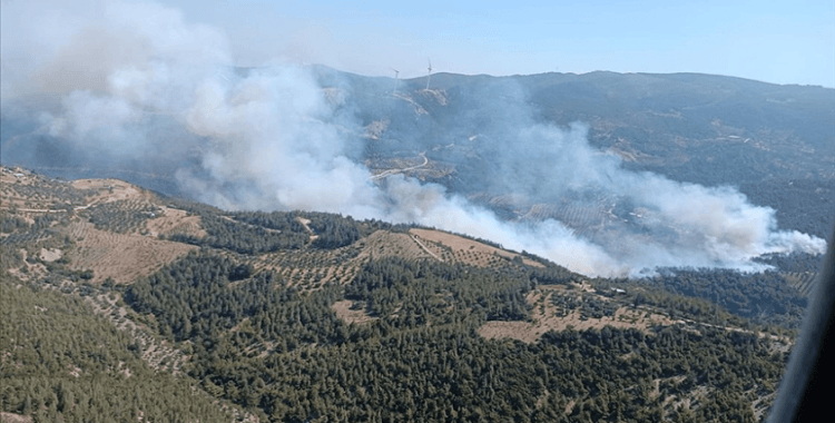Hatay'da çıkan orman yangınına ekiplerce müdahale ediliyor