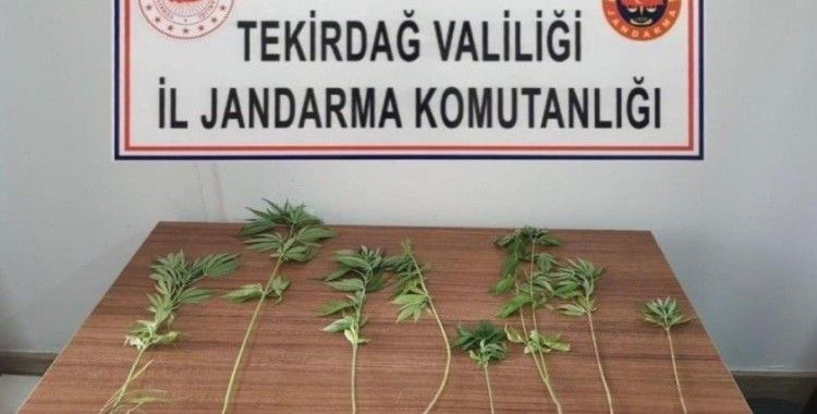 Tekirdağ'da uyuşturucu operasyonları: 8 kişi yakalandı