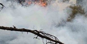 Başkarcı Dağında yıldırım düşmesi sonucu çıkan orman yangını söndürüldü
