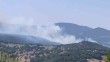 Bursa’da orman yangını çıktı, havadan ve karadan müdahaleler başladı
