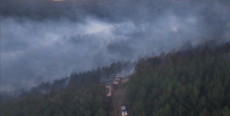 İzmir'de orman yangınına müdahale eden pikabın devrilmesi sonucu 2 kişi yaralandı