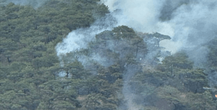 Nallıhan'da yıldırım nedeniyle çıkan orman yangını kontrol altına alındı