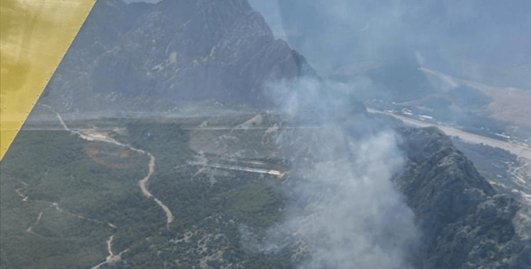Antalya'da ormanlık alanda yangın çıktı