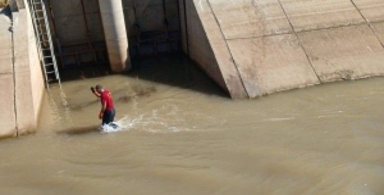 Diyarbakır'da sulama kanalına düşen köpek kurtarıldı