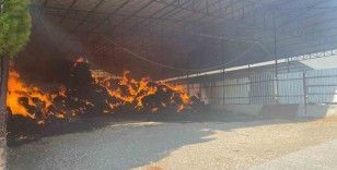Manisa’da çiftlik yangını: 2 bin balya saman kül oldu
