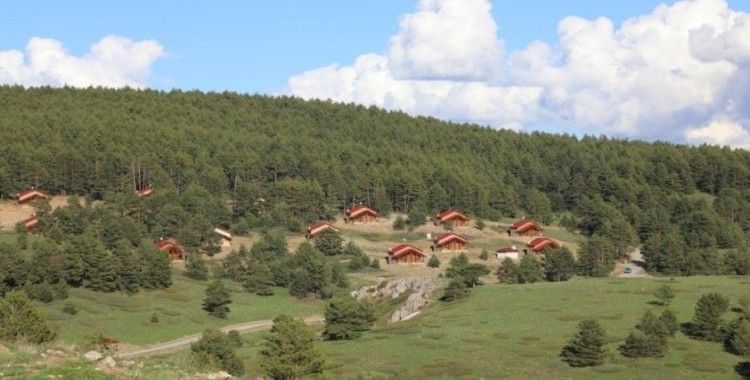 Erzincan’ın yeşil cenneti: Dumanlı Tabiat Parkı
