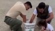 Sahilde mahsur kalan 23 caretta caretta yavrusu denize ulaştırıldı
