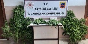 Jandarma Kayseri’de uyuşturucuya geçit vermiyor

