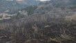 Bingöl’de otluk alandaki yangın ormana sıçramadan söndürüldü
