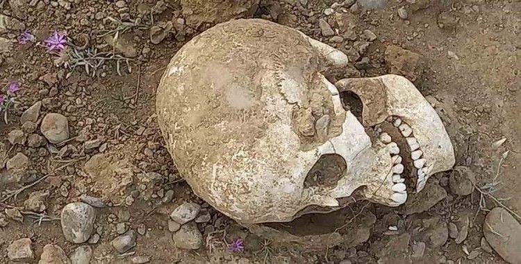 Gümüşhane’de yol ortasında insan kafatası bulundu
