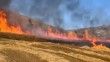 Buğday ekili tarlada çıkan yangın 15 dönüm alanı küle çevirdi
