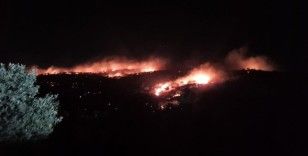 Mardin’de gece saatlerinde korkutan yangın kontrol altına alındı
