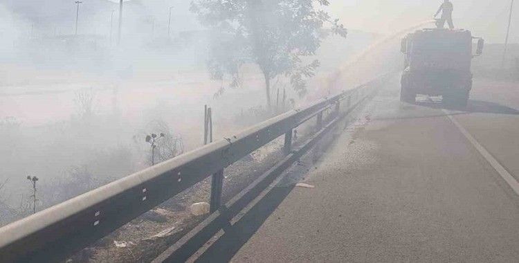 Arsuz’da çıkan ot yangınını itfaiye ekipleri söndürdü
