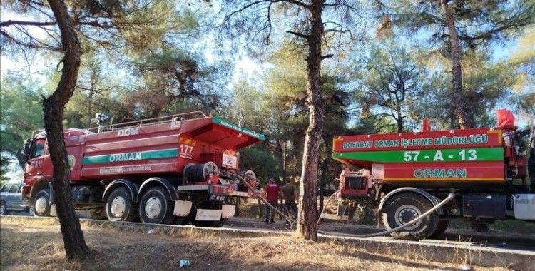 Sinop'ta ormanda çıkan yangın söndürüldü