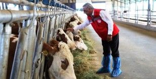 Hastalıktan ’ari işletmelerin’ avantajları
