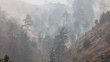 Kahramanmaraş'ta ikamet yangını ormana sıçradı