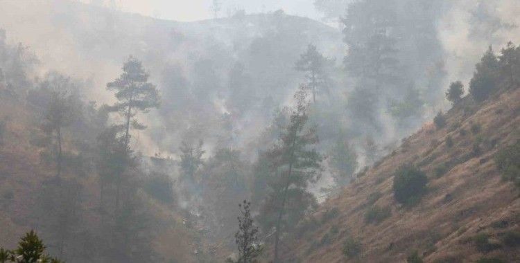 Kahramanmaraş’ta ikamet yangını ormana sıçradı
