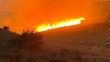 Malatya’da yüzlerce dönüm alanda anız yangını

