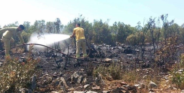 Menteşe’de çalılık yangını
