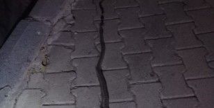 Elazığ’da lavaboya giren 2 metrelik yılan korkuttu
